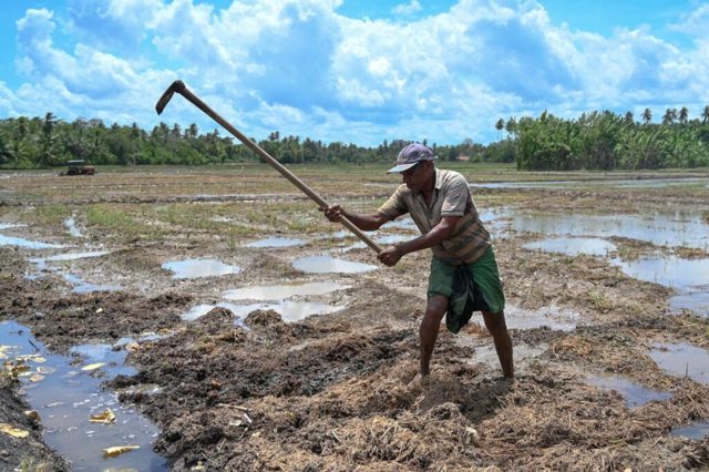 Energy Insecurity Threatens Food Production