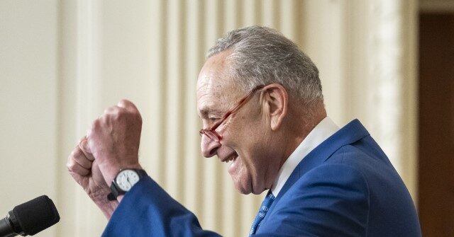 Cuellar: Schumer ‘Needs to Show Something to the Base’