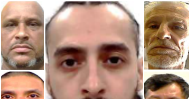 Exclusive: ICE Agents Arrest Illegal Alien Pedophiles, Rapists, Kidnappers Across U.S.