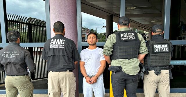 Analysis: 66% of Illegals Arrested by ICE Have Criminal Records