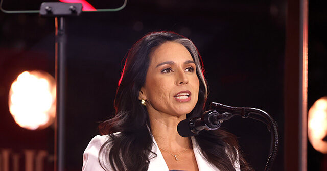 Director Tulsi Gabbard Working Diligently to Declassify Controversial FISA Court Opinion