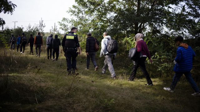 Another EU state reintroduces immigration controls