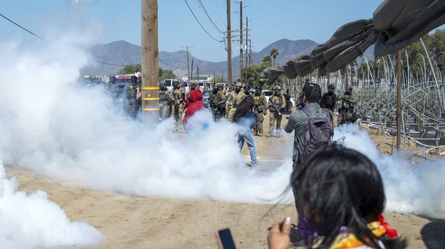 Chaos breaks out during immigration raid on ‘world’s largest cannabis farm’ (VIDEOS)