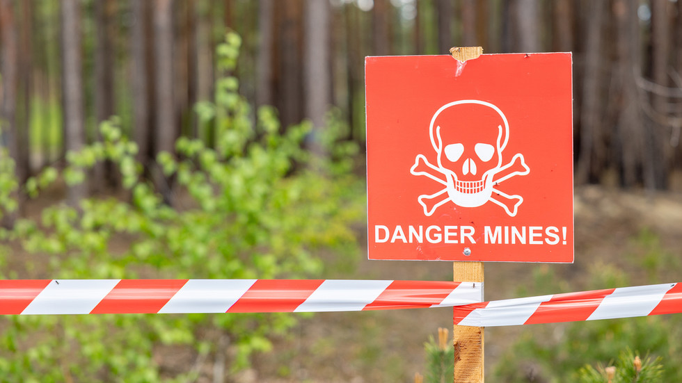 Another NATO member pulls out of landmine treaty