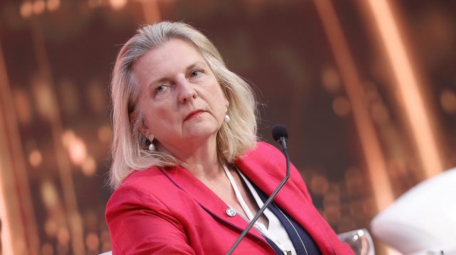 West could be behind Ukraine’s anti-graft rallies – ex-Austrian FM