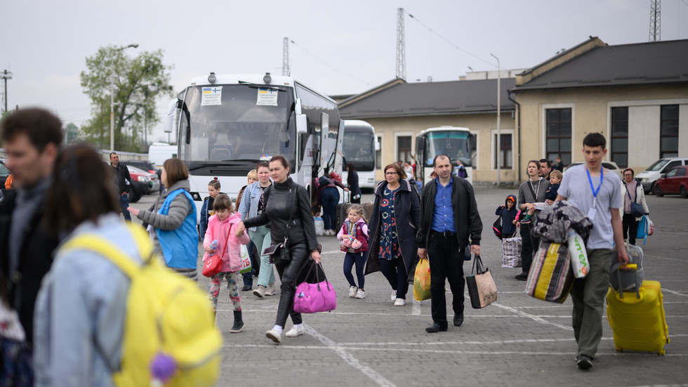 Polish police want to reinstate visa regime with Ukraine – MP