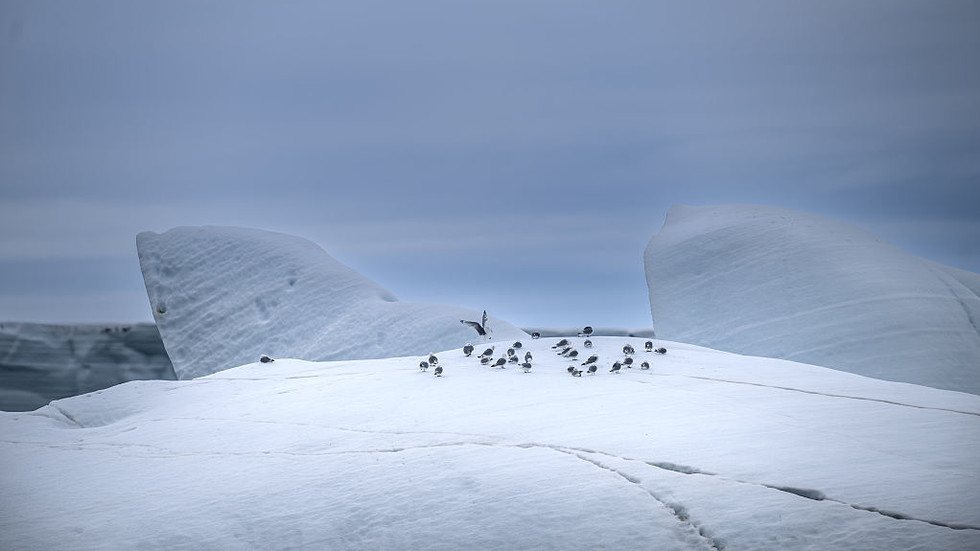 Arctic hit by record-breaking summer heat – researchers