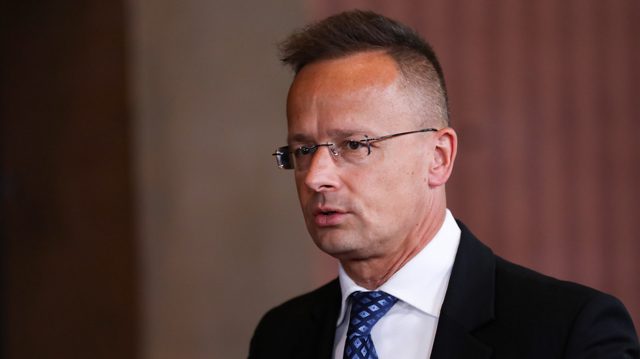 EU state hints at cutting off power supply to Ukraine