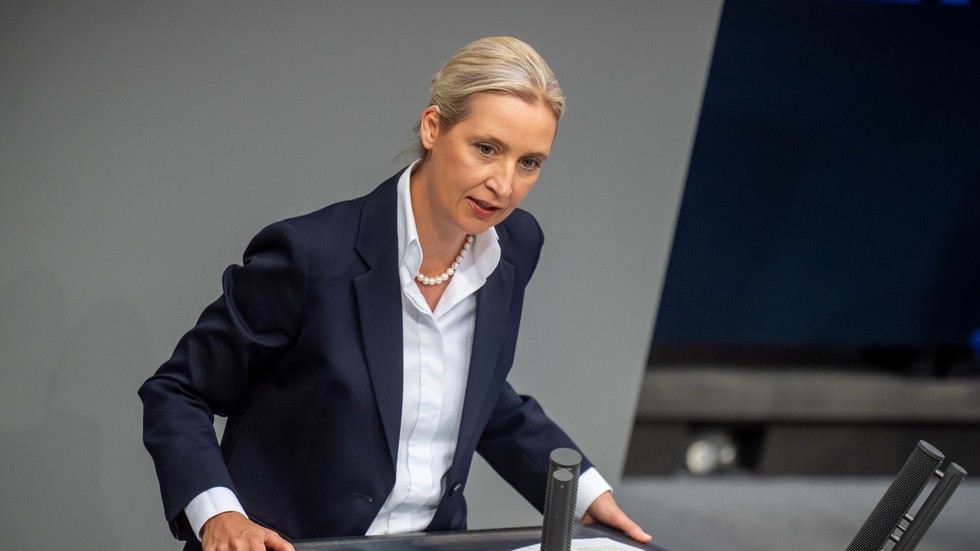 German opposition slams EU ‘hypocrisy’ on Ukraine
