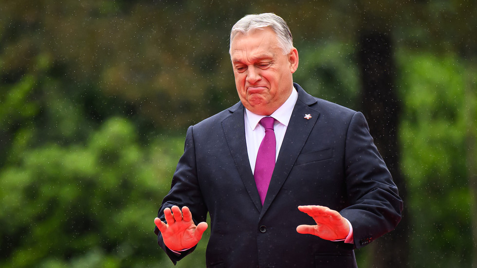 Ukraine doesn’t deserve EU membership – Budapest