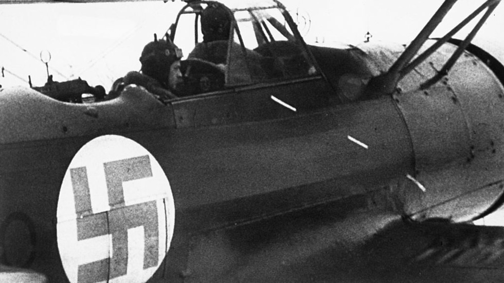 NATO country to scrap swastika – media