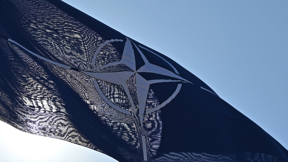 European NATO states have ‘no political will’ – US envoy