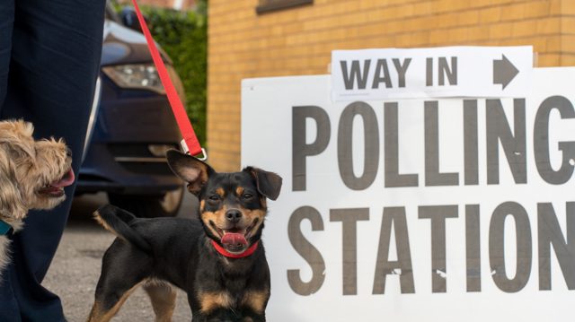 US woman charged with registering dog to vote in elections