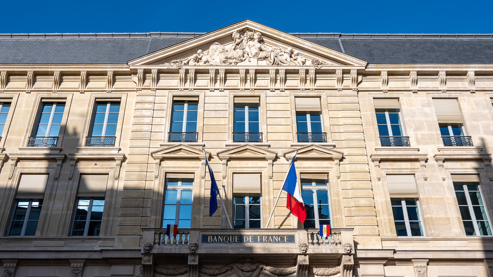 France headed for ‘black hole’ – financial expert