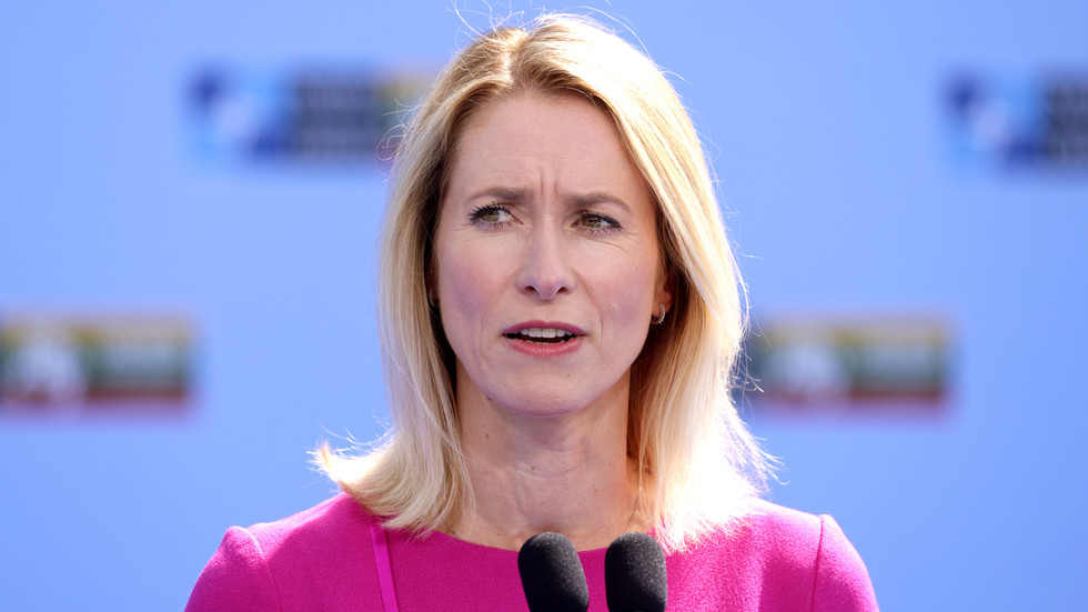 Wondering why the EU is so screwed? Just look at its top diplomat