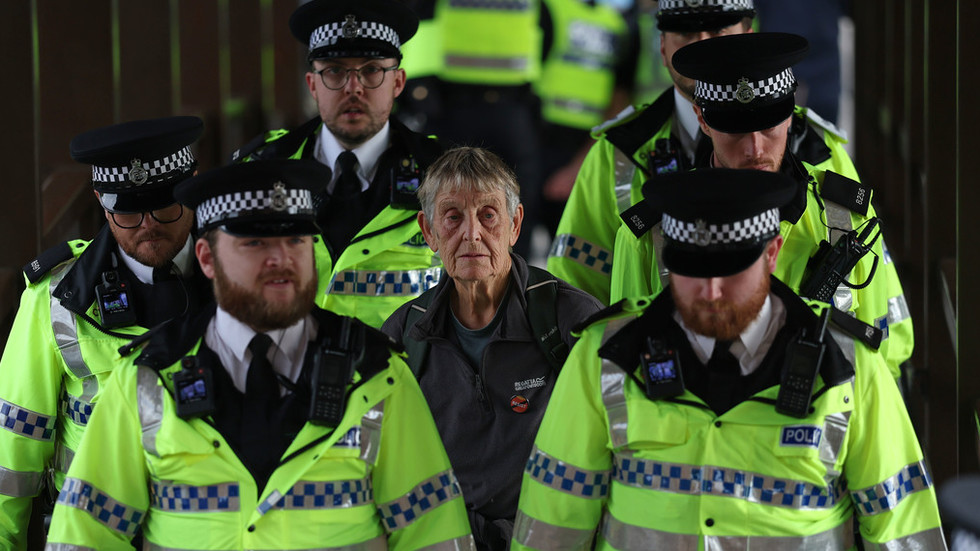 Dozens arrested in UK over anti‑Israel protest (VIDEO)