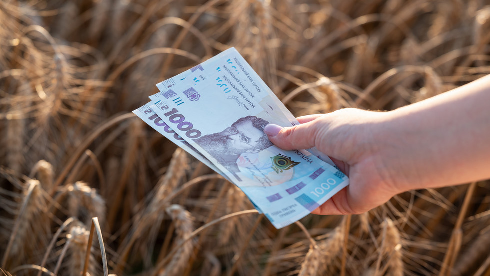 IMF pushes Kiev to weaken currency – Bloomberg