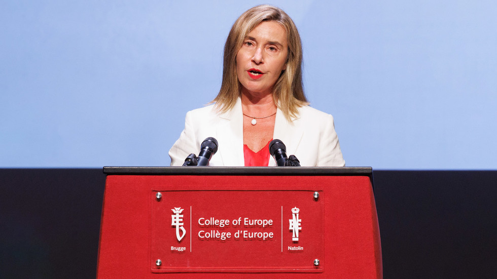 Former top EU diplomat detained in anti-fraud raid – media