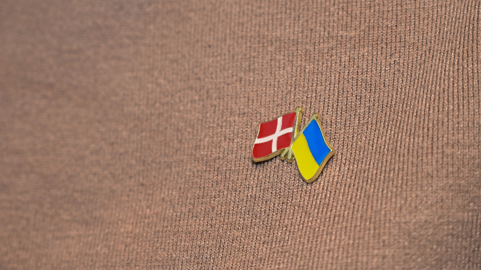 Ukraine’s top donor to nearly halve military aid in 2026