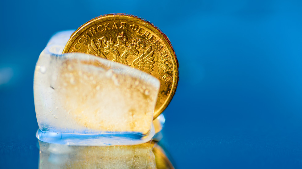 France won’t let EU seize chunk of frozen Russian funds – FT