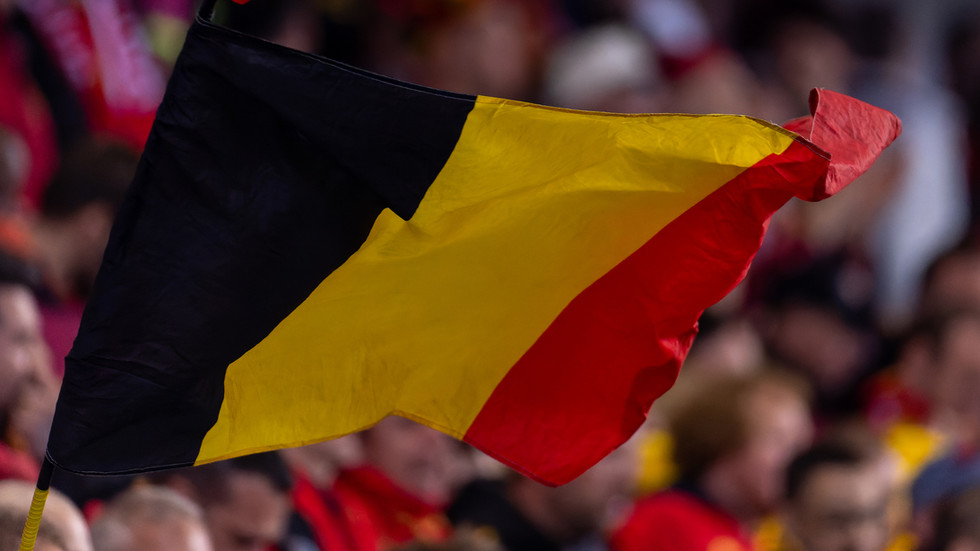 Majority of Belgians oppose theft of Russian assets to fund Ukraine – poll