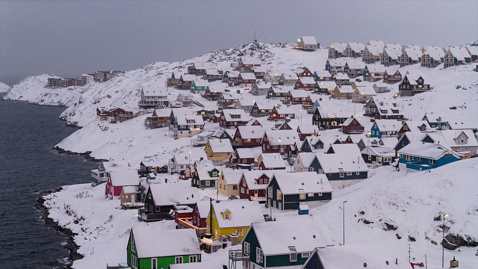 ‘A jellyfish has more spine than Europeans’ – professor on Trump’s plans to annex Greenland