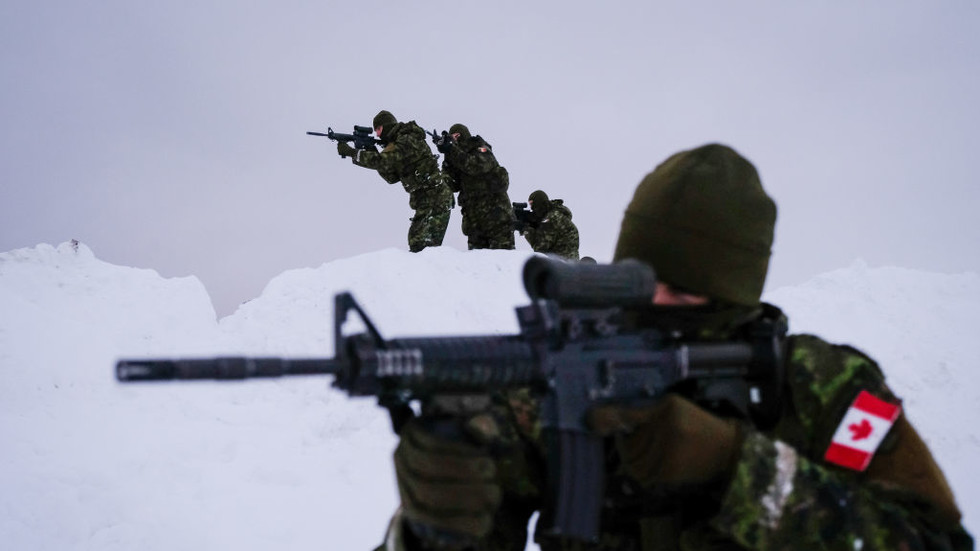 Canada builds mujahideen model against possible US invasion – media