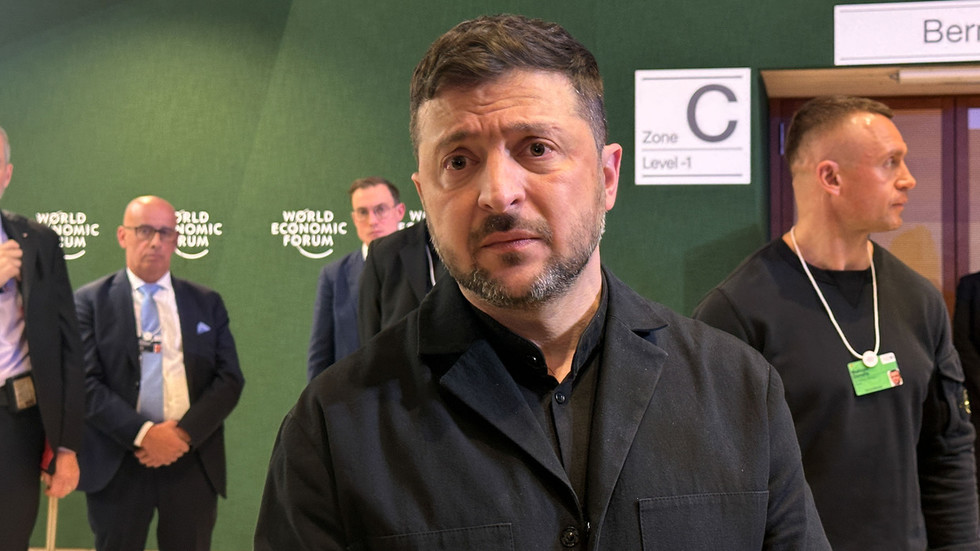 Zelensky must pay for blowing up Nord Stream – AfD co-leader