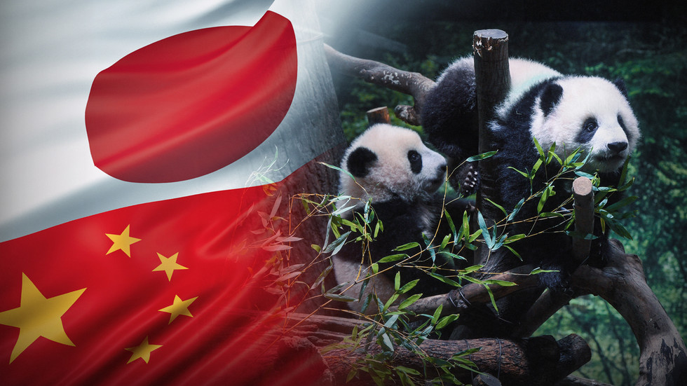 Last pandas in Japan leave for China as relations sour