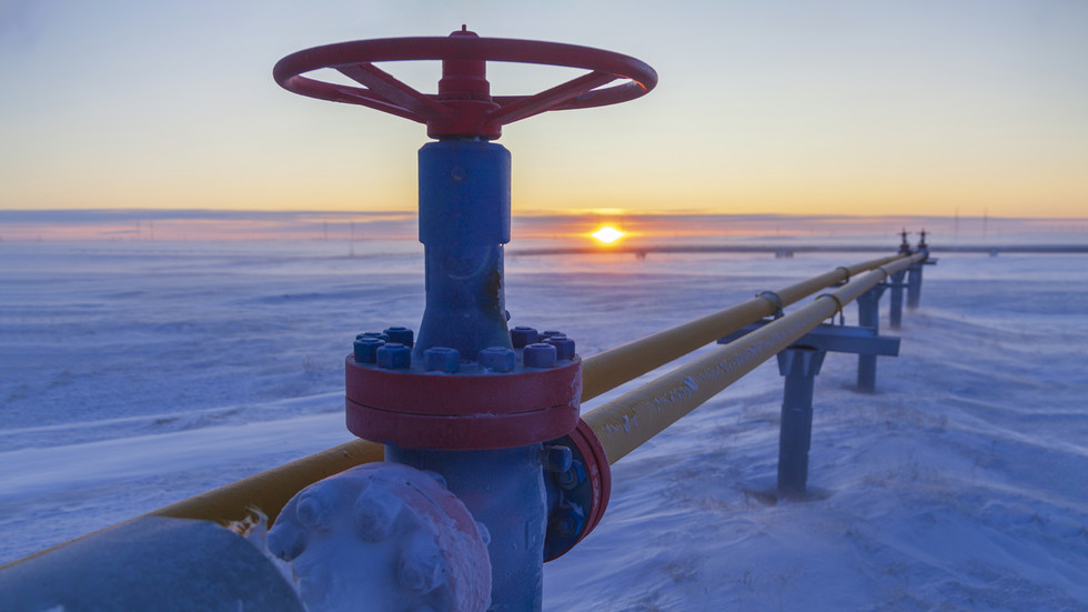 EU green-lights ban on Russian gas despite energy security fears