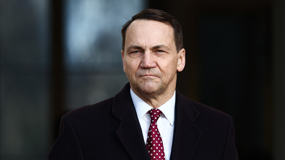 EU army ‘unrealistic’ – Polish foreign minister