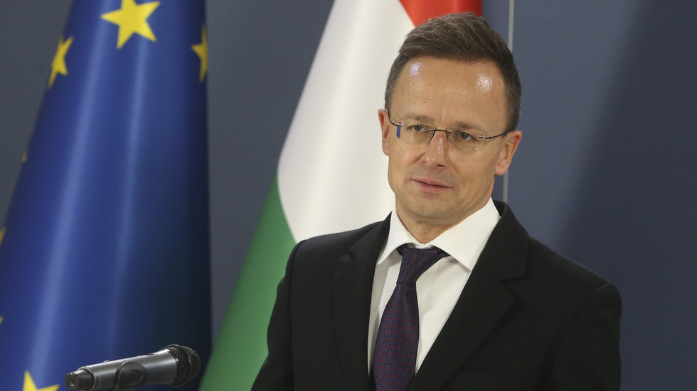 Kiev’s ‘open manhunt’ for conscripts must stop – Budapest