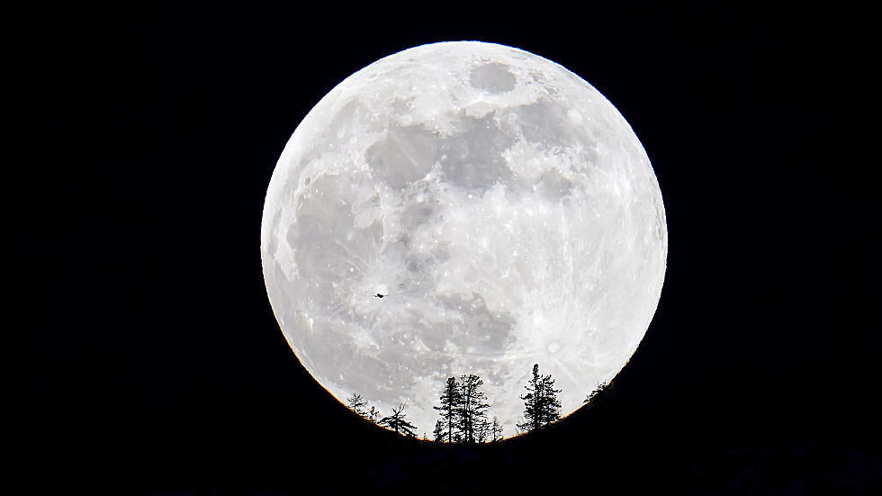 Musk plans ‘self-growing’ Moon city