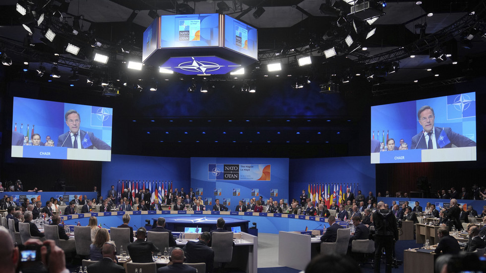Populations in key NATO nations balk at sacrifices for military spending – poll