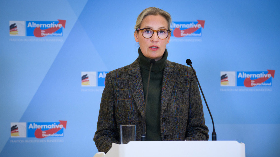 Germany’s break with Russia left it hooked on expensive US gas – AfD