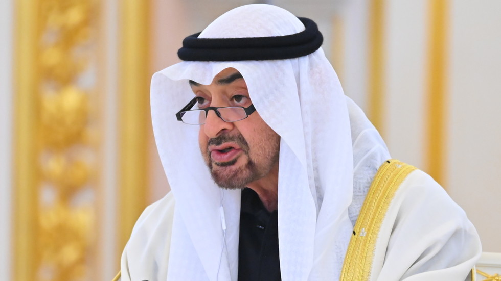 Game of Thrones in the Middle East: Dangerous rumors swirl around the UAE president