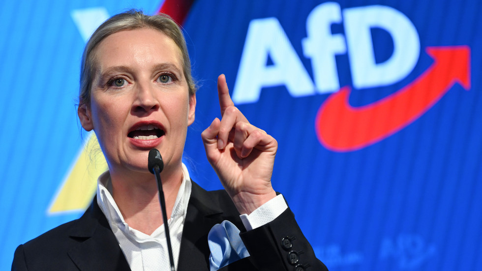 EU manipulating polls in bid to oust Orban – German opposition leader