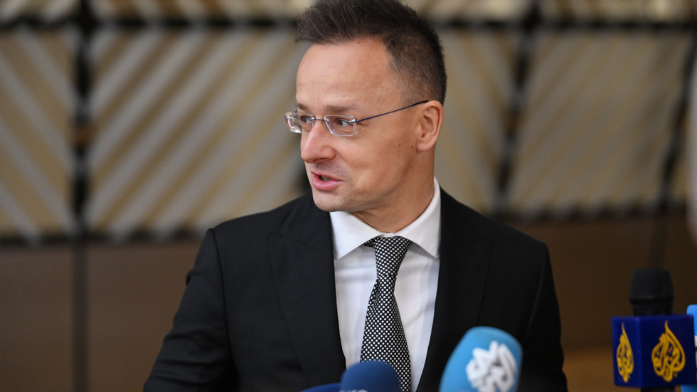 Ukraine can’t explain ‘war mafia’ cash convoy – Hungary