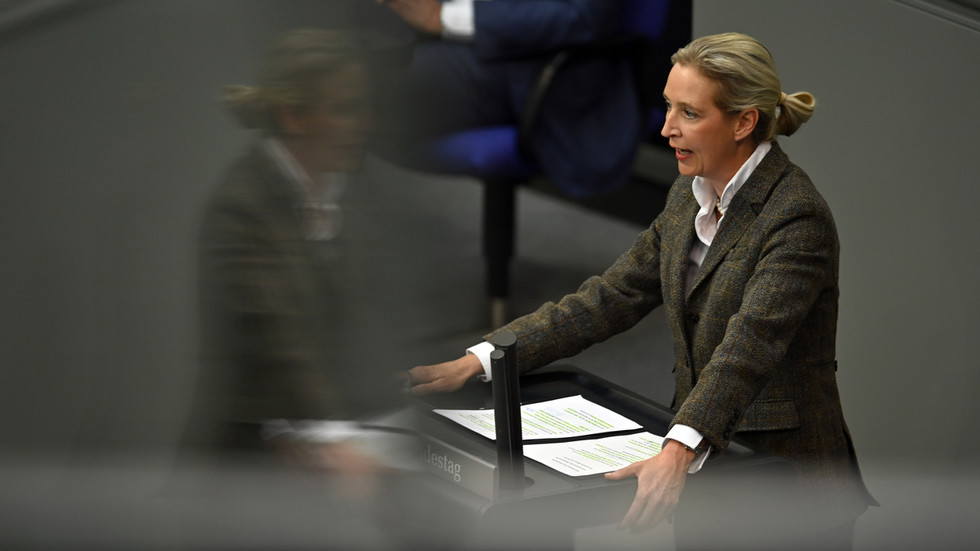 AfD co-chair calls for end to funding ‘corrupt’ Ukraine