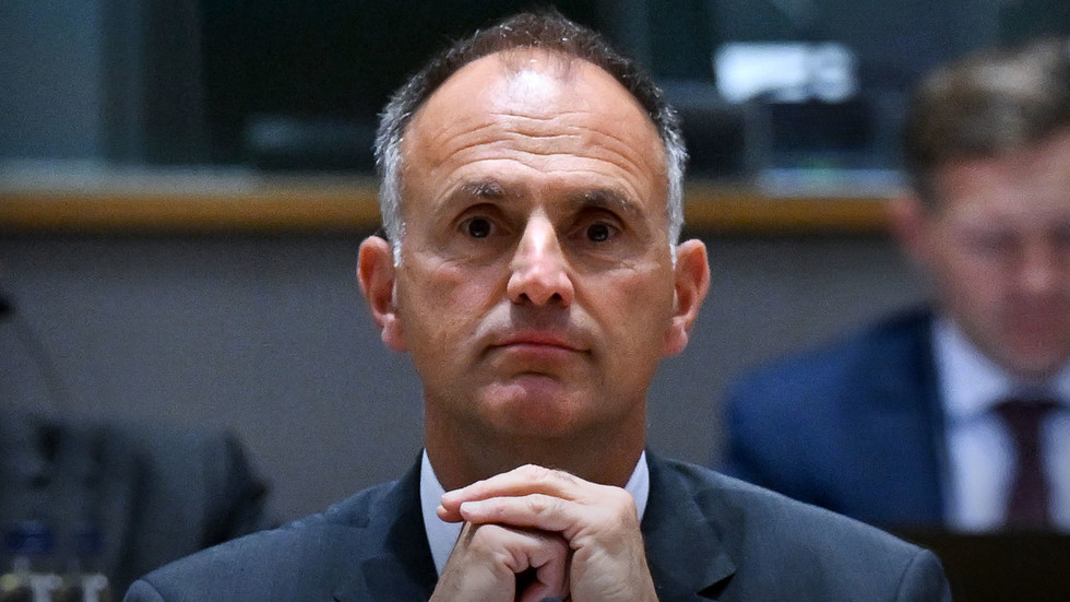 EU Defense Agency head says compulsory military service could be necessary