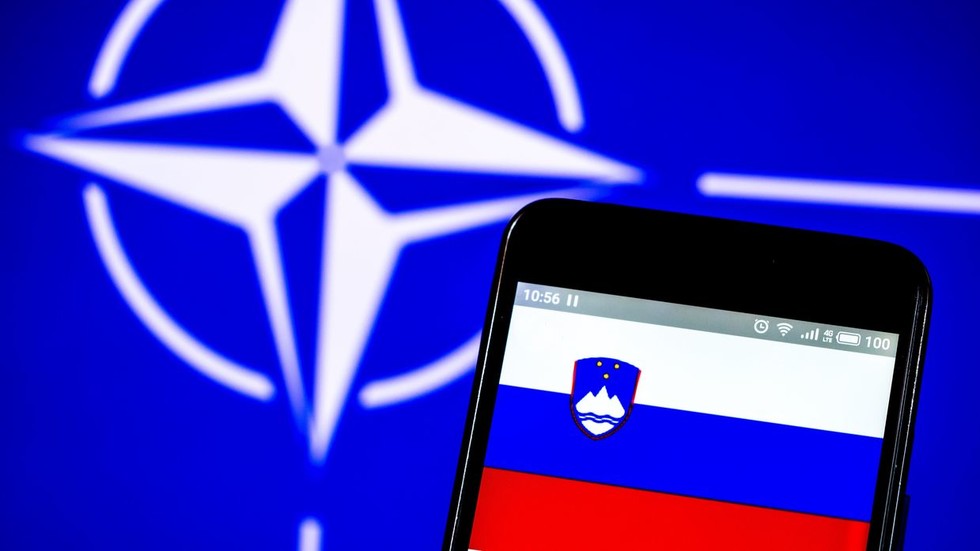 NATO member planning exit vote