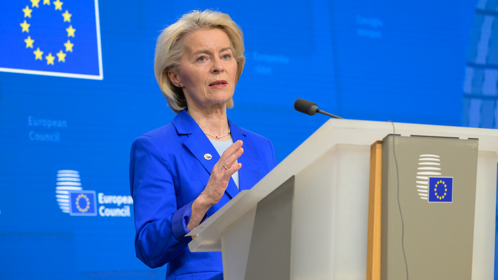 Von der Leyen immune to democracy – AfD leader