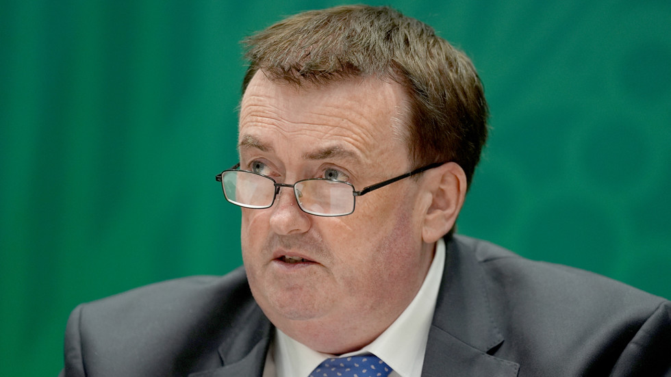 Ireland to offer cash to encourage Ukrainians to leave – migration minister
