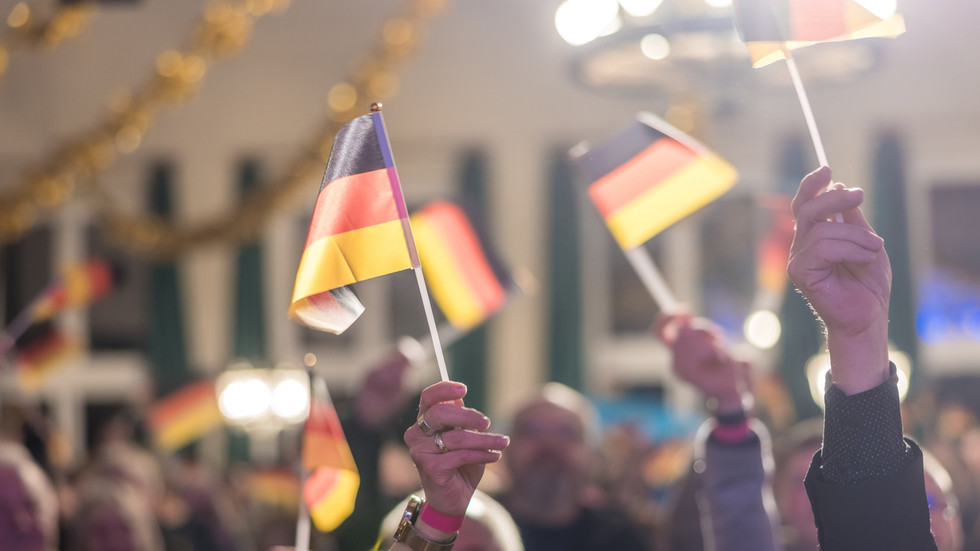 Germany’s AfD hits new popularity record – poll