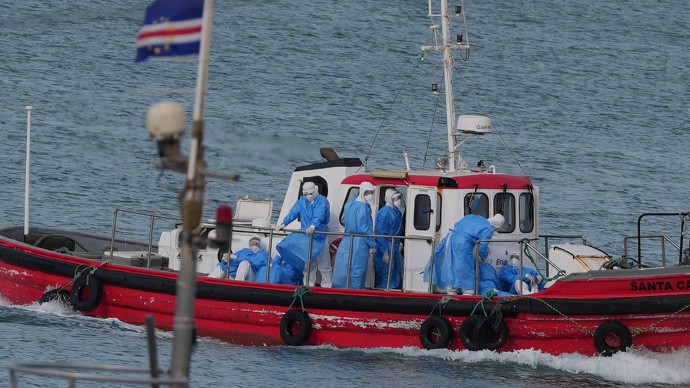 Hantavirus: How dangerous is the cruise ship outbreak?