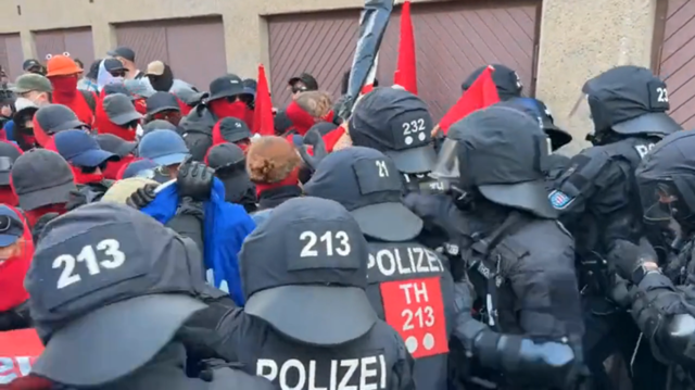 German police pepper-spray protesters amid opposition party convention (VIDEO)