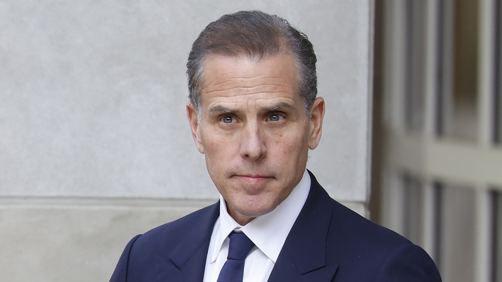 Washington controlled by ‘closeted gay mafia’ – Hunter Biden