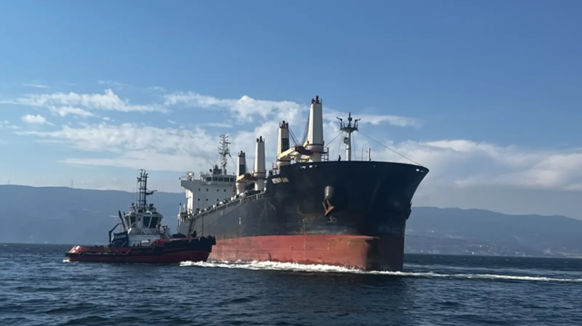 Turkish sailor killed amid fresh Ukrainian strikes on shipping (VIDEO)