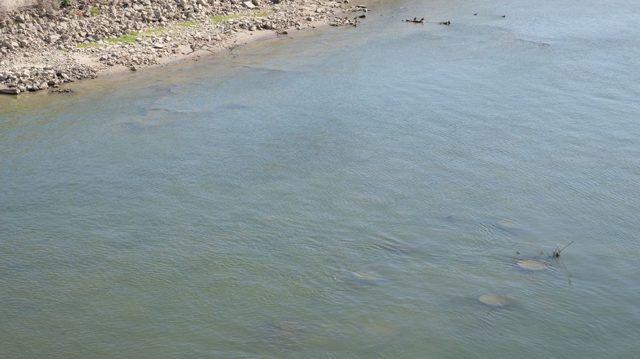 Sunken Nazi warships resurface in Europe amid record heatwave (PHOTOS)