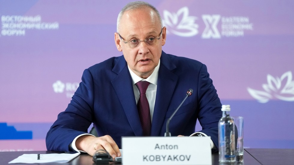 Russia rejects ‘screwdriver assembly’ model for foreign business – Putin aide